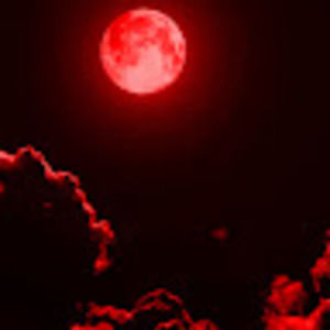 Meet your Posher, Joey